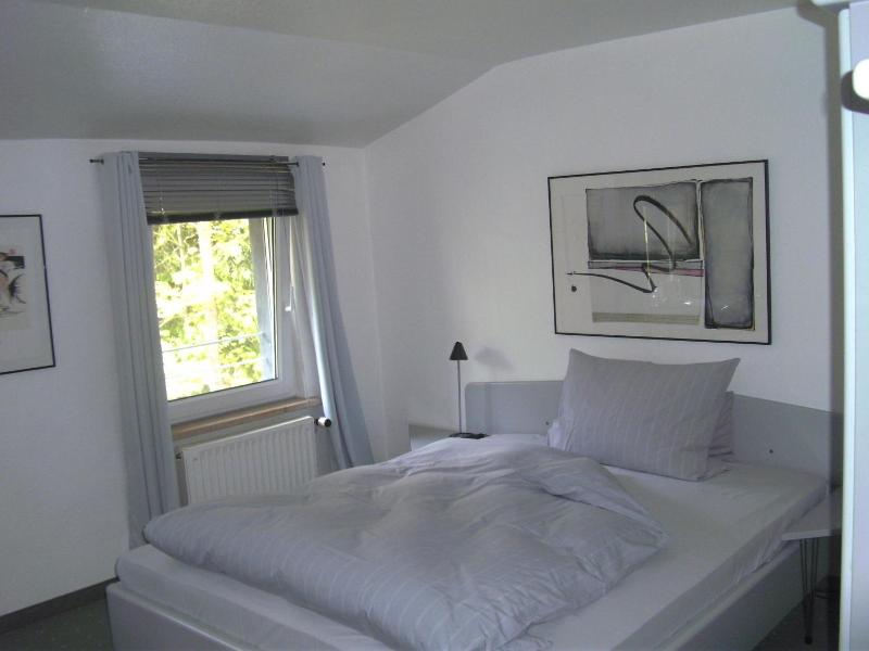 Hotel Ambiente image