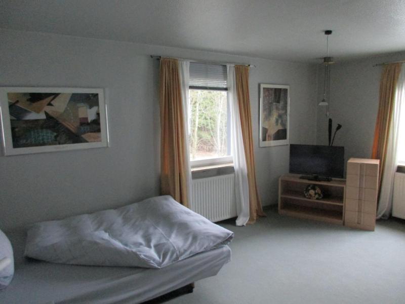 Hotel Ambiente image