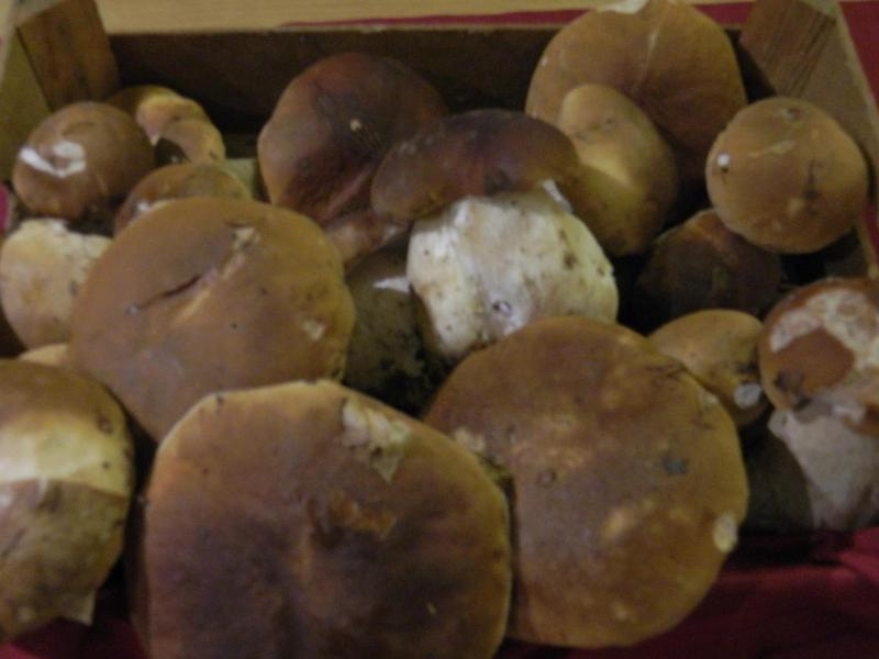 Osteria San Giuseppe image