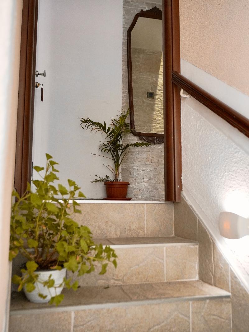 Novi Svet Apartmani image