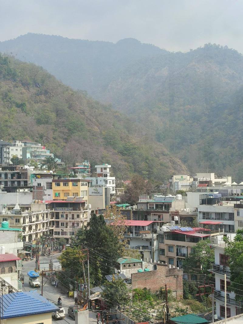 The Mountain View image