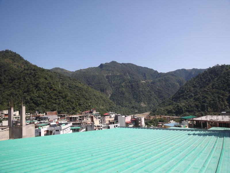 The Mountain View image