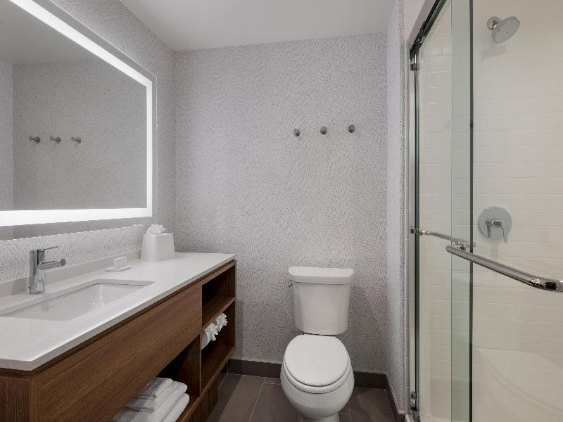 Home2 Suites by Hilton Houston Downtown Convention image