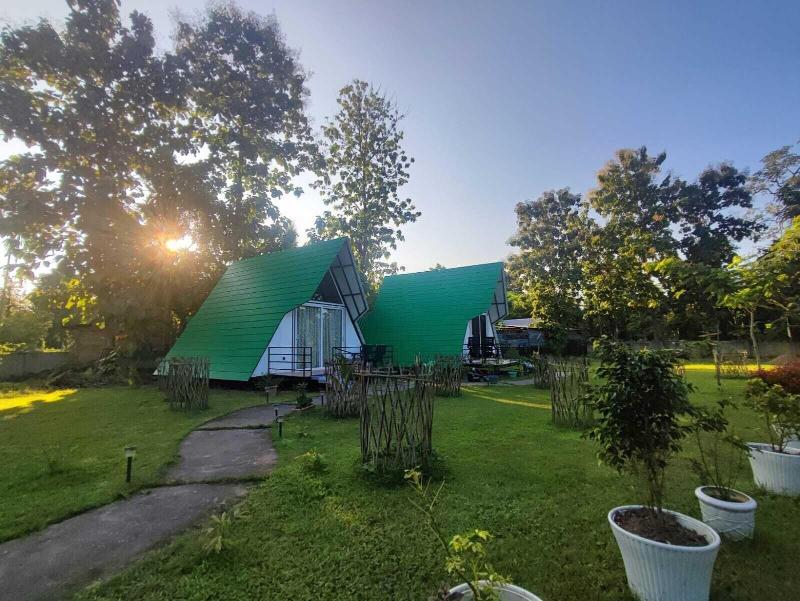 Wildernest — exterior view