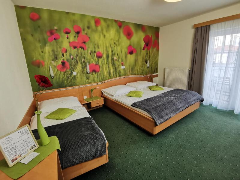 Hotel Wirtshaus Hv Dl Kaplan image