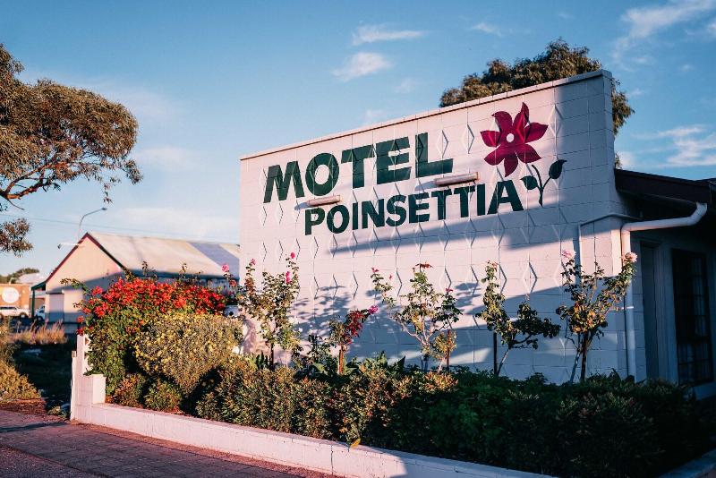Motel Poinsettia image