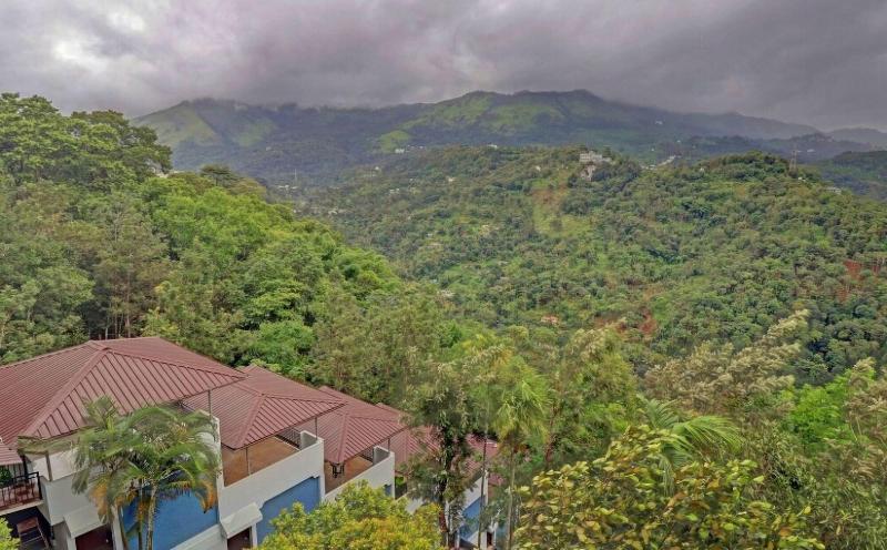 The View Munnar — general view