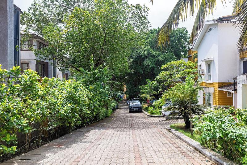 Alohastayz image
