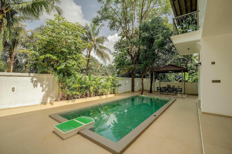 Alohastayz image