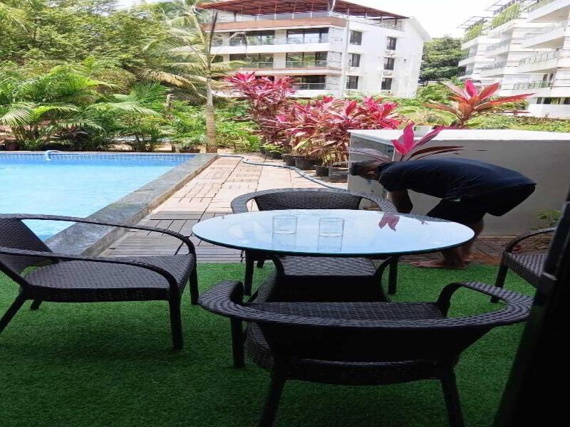 Alohastayz image