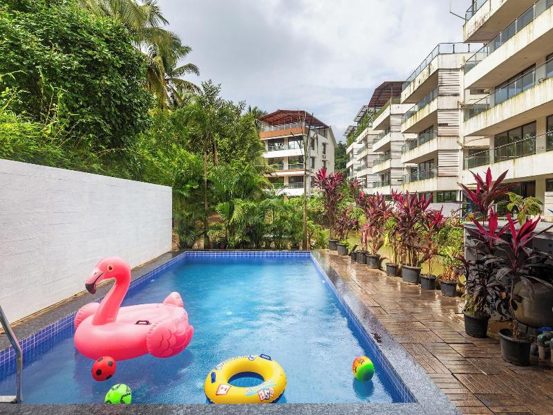 Alohastayz image