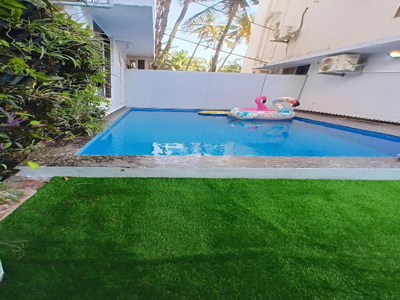 Alohastayz image