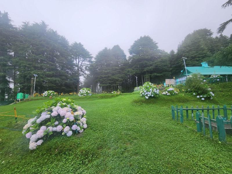 Smart Hill Kalatop — general view