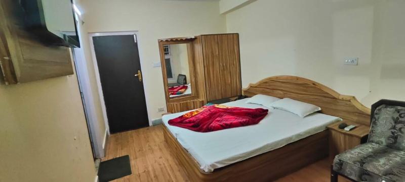 Hotel Amar Palace image