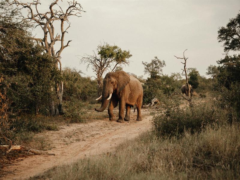 Radisson Safari Hotel Hoedspruit image