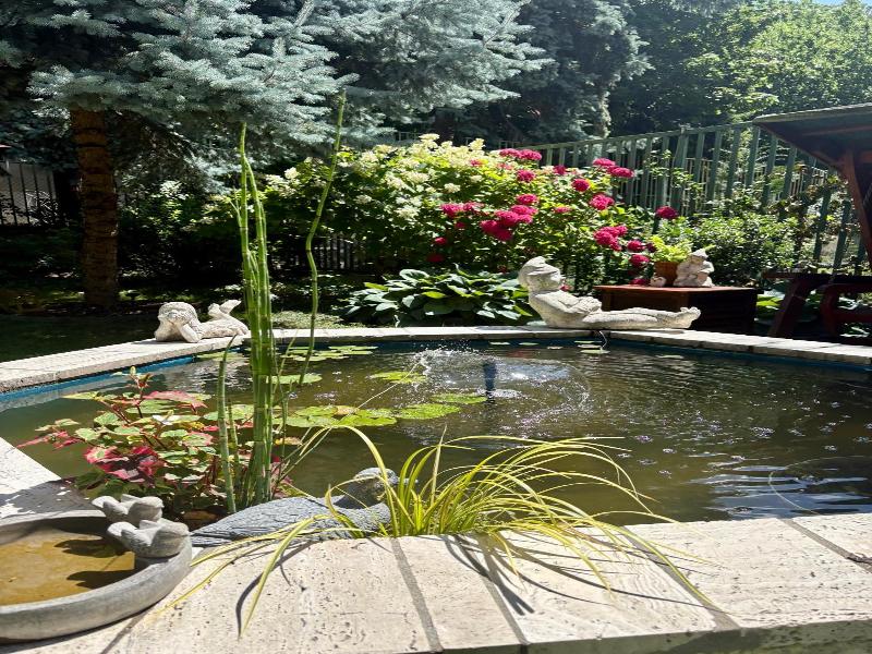 Hotel Arcus Garden image