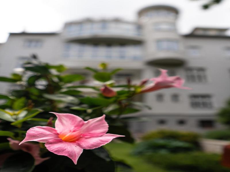 Hotel Arcus Garden image