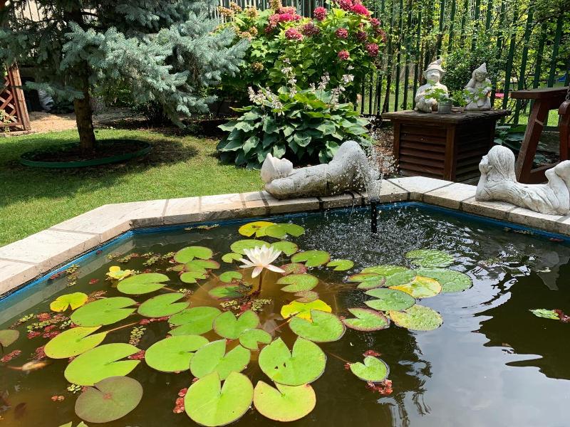 Hotel Arcus Garden image