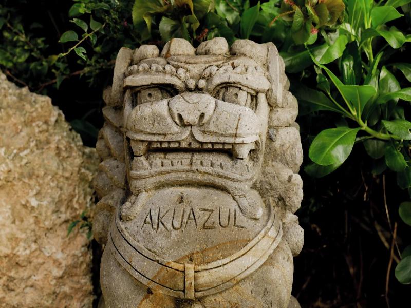 Akuazul Resorts Adults Only Clothing Optional image