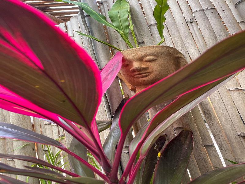 Akuazul Resorts Adults Only Clothing Optional image