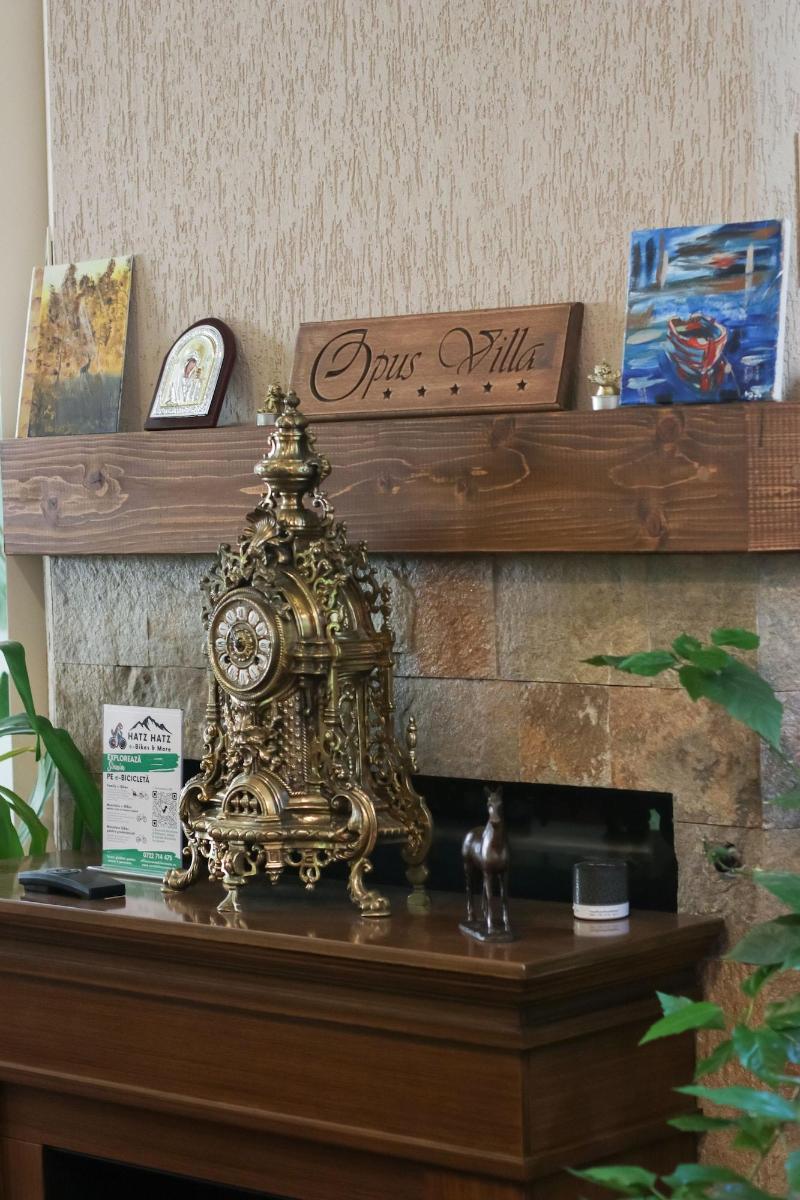 Opus Villa image