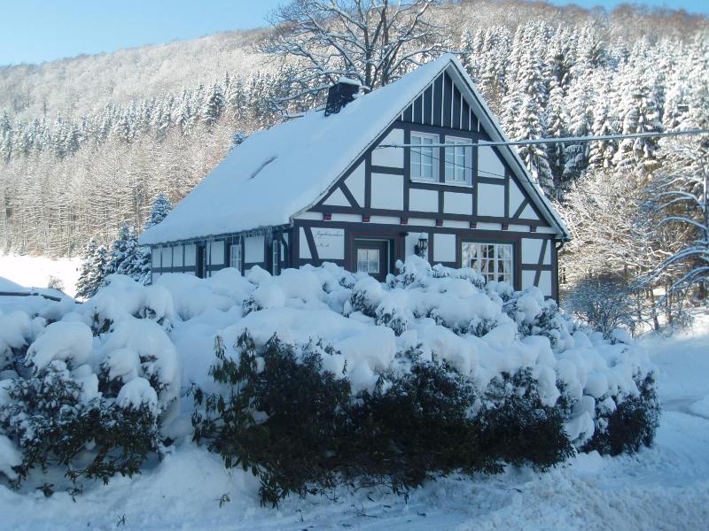 Hotel Gut Vorwald image