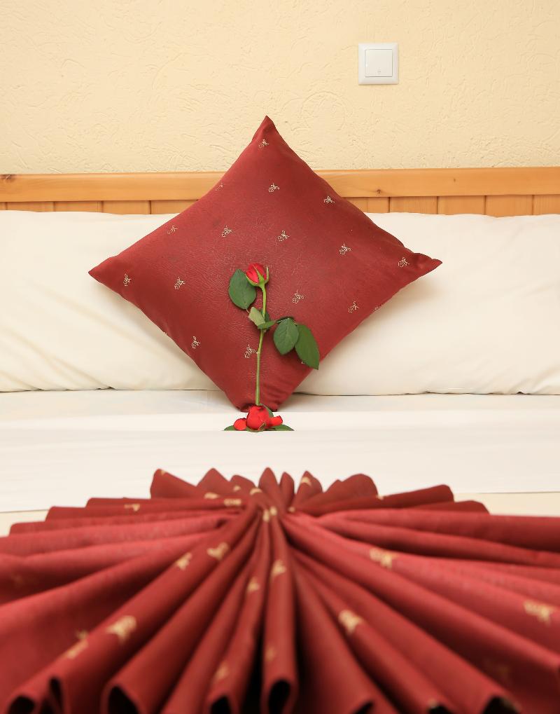 Haile Resort Ziway Batu image