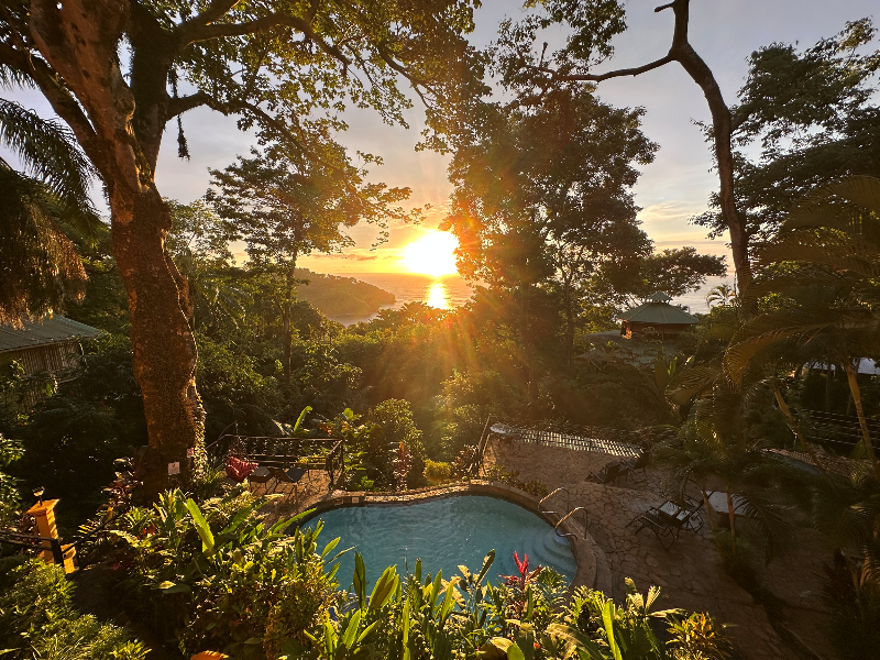 Mango Moon Villa image
