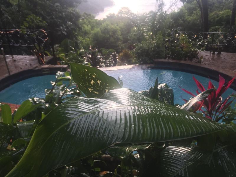 Mango Moon Villa image