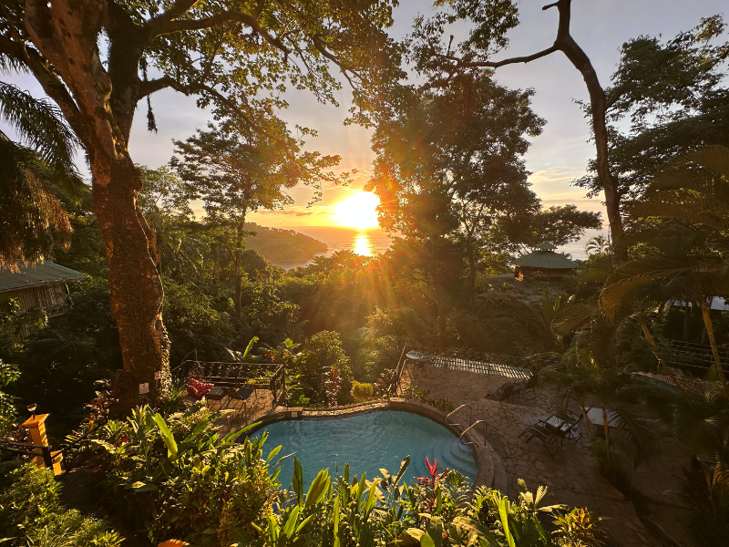 Mango Moon Villa image