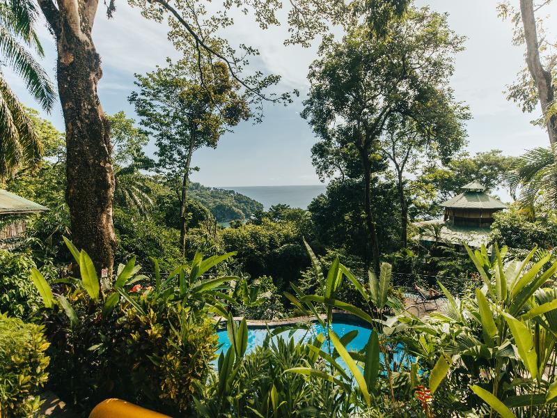 Mango Moon Villa image