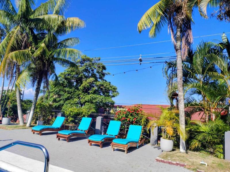Alma Vida Hotel image
