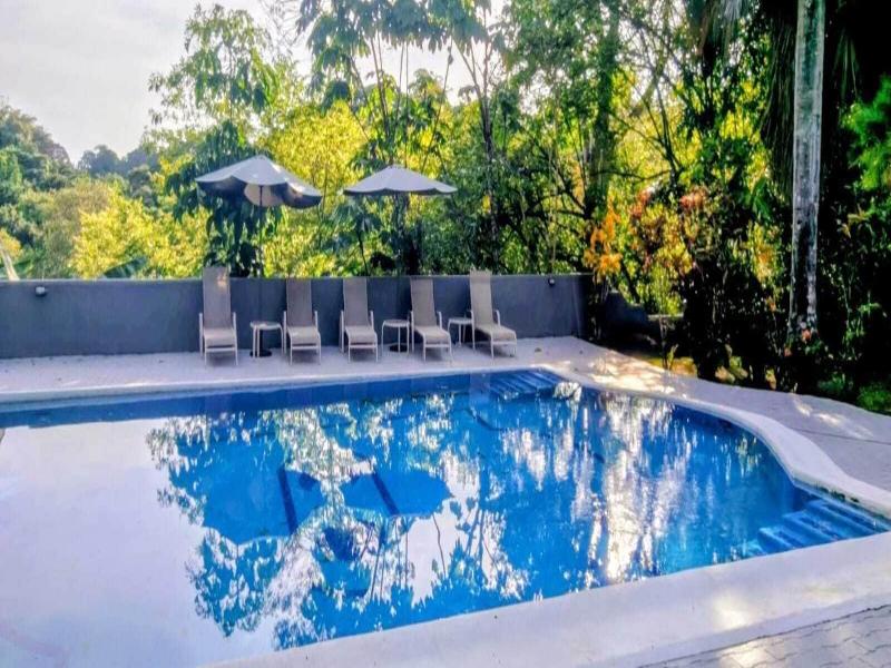Alma Vida Hotel image