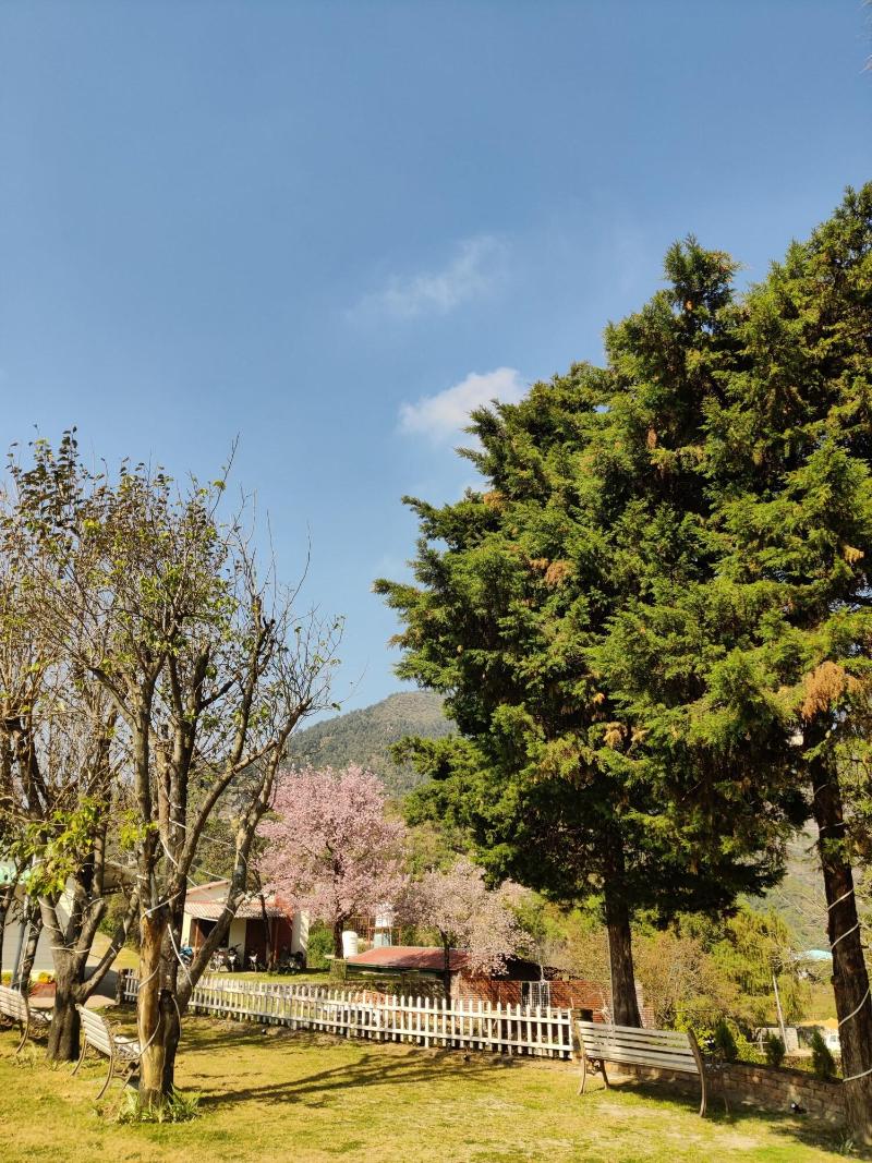 Saiva Hill Resort image