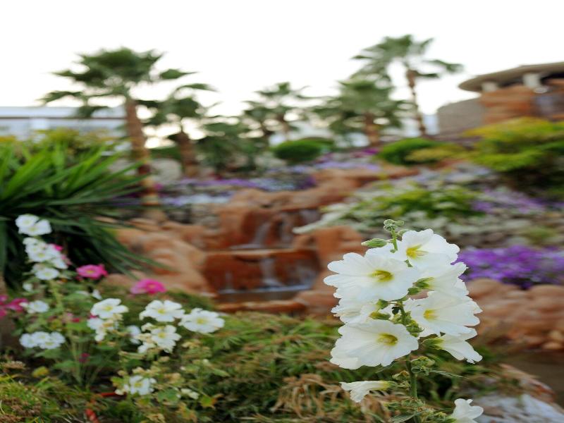 Renaissance Sharm El Sheikh Golden View Beach Rest image