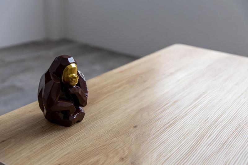 Guest House Gorilla image