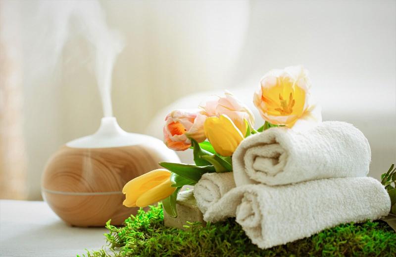 Punarnava Resort & Spa image