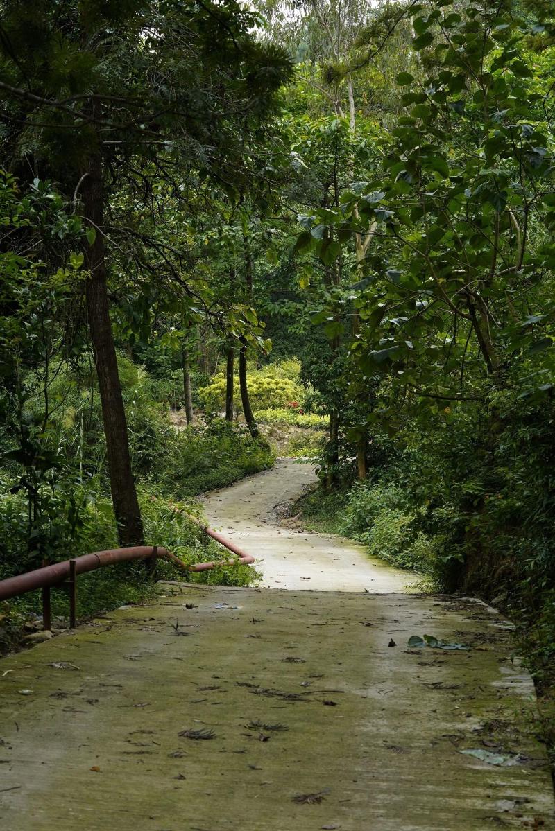 Punarnava Resort & Spa image