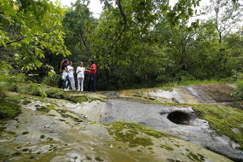 Punarnava Resort & Spa image