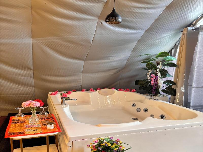 Nirvana Hamta Retreat image