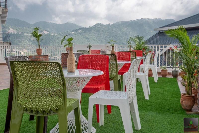 The Green Land Kasauli image