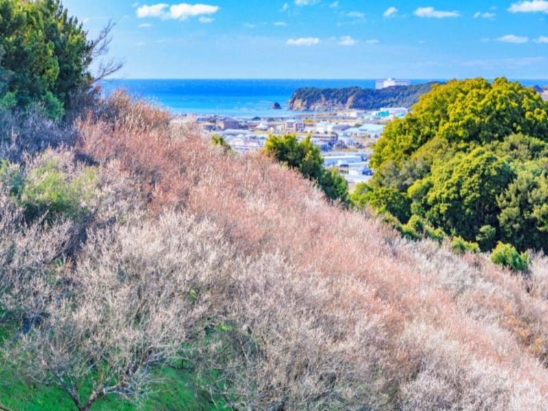 Kamenoi Hotel Kii-tanabe image