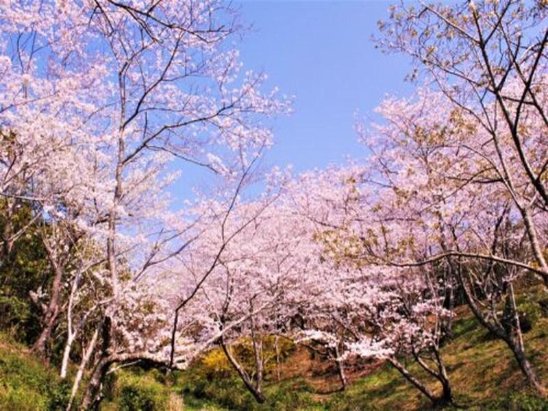 Kamenoi Hotel Kii-tanabe image