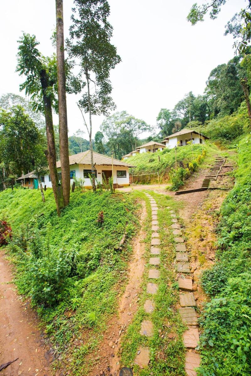 Room In Cabin - The Nest Bettathur, Coorg @ Ct 004 image