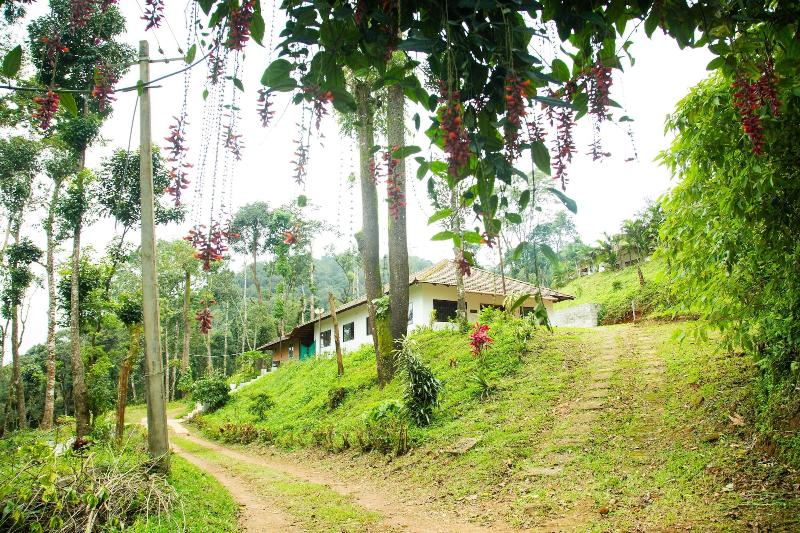 Room In Cabin - The Nest Bettathur, Coorg @ Ct 004 image