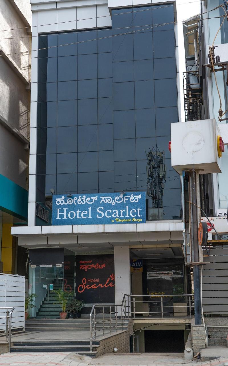 Hotel Scarlet image