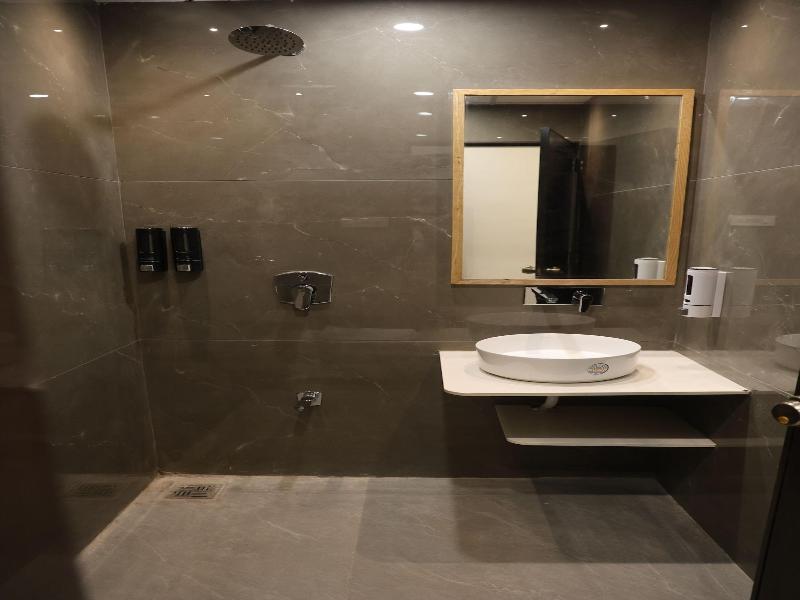 Hotel Krishna image