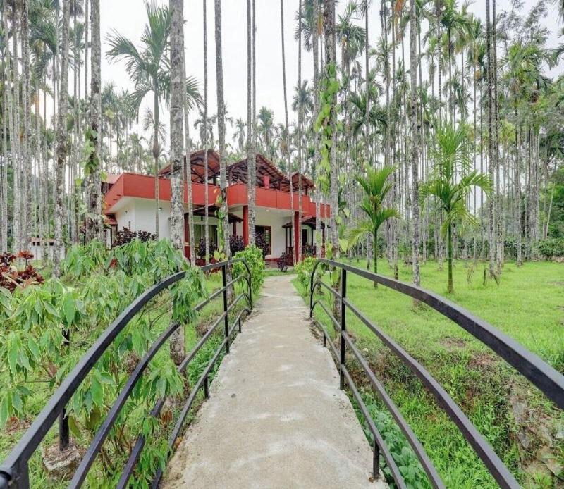 Lazo Areca Resort image
