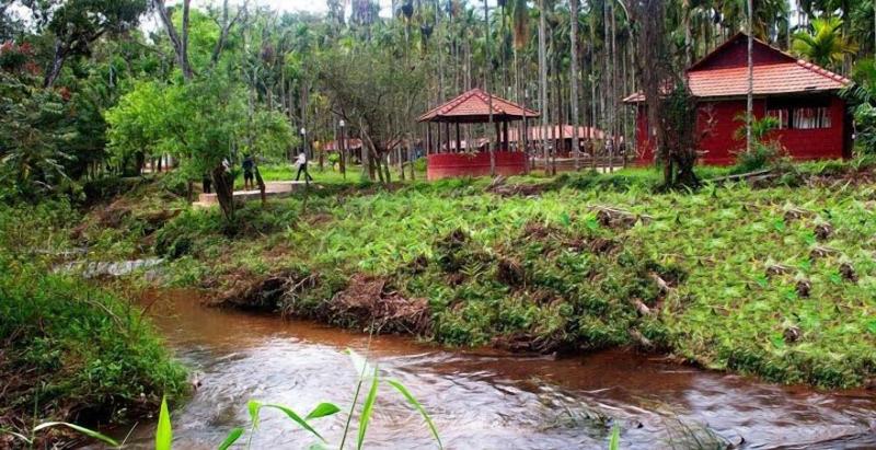 Lazo Areca Resort image