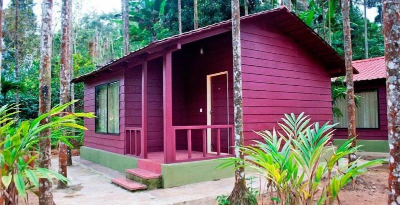 Lazo Areca Resort image